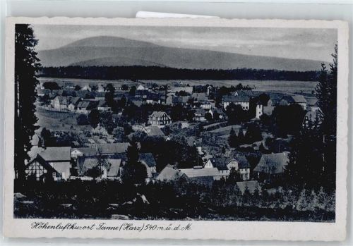 Tanne Panorama