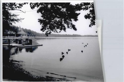 Bokel Foto mit Negativ