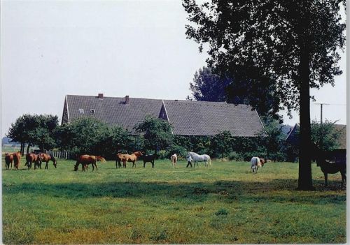 Havixbeck Hof Mormann