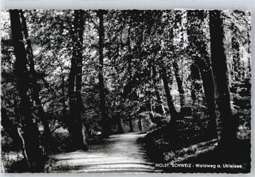 Eutin Waldweg am Ukleisee