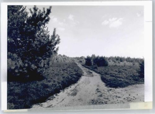 Todtglüsingen Foto mit Negativ