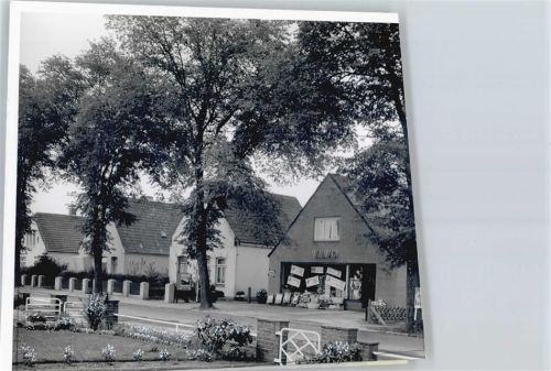 Heide Foto mit Negativ, Geschäft