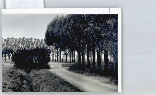Groß Elbe Foto
