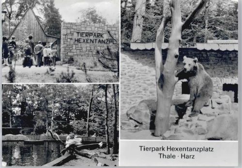 Thale Tierpark Hexentanzplatz AKU2