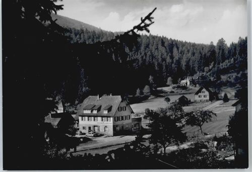 Erbersbronn Gasthaus zum grünen Wald