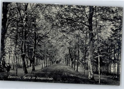 Demmin Devenerholz