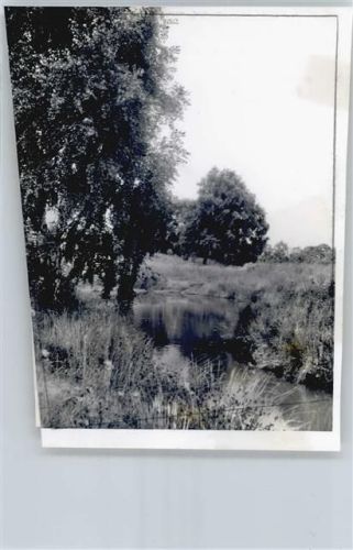 Brockhöfe Foto mit Negativ