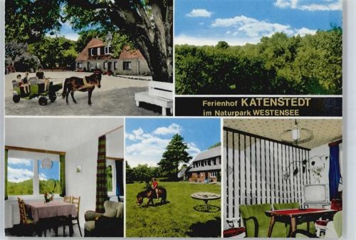 Katenstedt Ferienhof Katenstedt, Ponykutsche