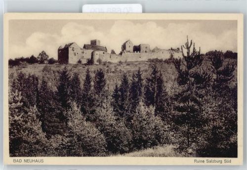 Bad Neuhaus Burg Ruine AKU2