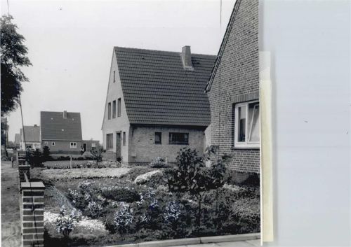 Heide Foto mit Negativ