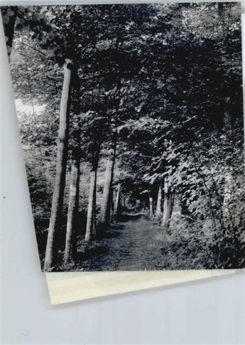 27367 W2724 Stuckenborstel FOTO KEINE AK Foto mit Negativ