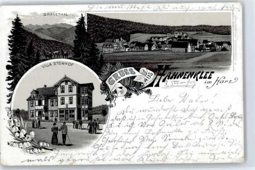 Hahnenklee Villa Steinhof, Granetal