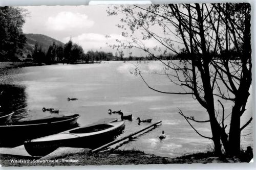 Waldkirch Stadtsee