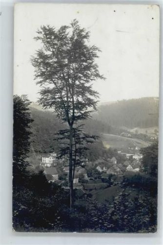 Bad Grund Gesamtansicht