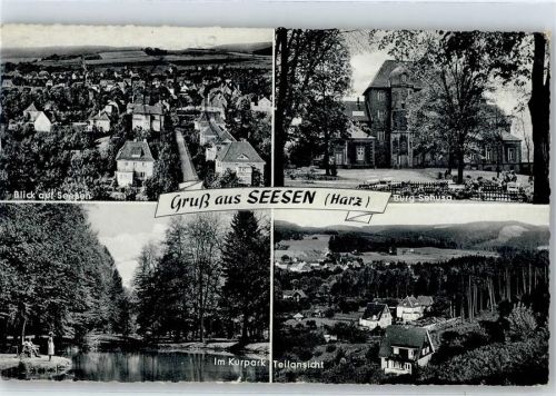 Seesen Kurpark, Burg Sehusa