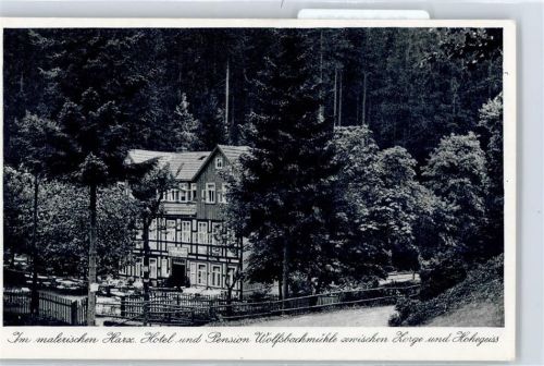 Zorge Hotel Pension Wolfsbachmühle