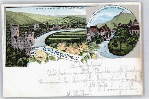 Neckarsteinach Schwalbennest, Gesamtansicht, Dilsberg