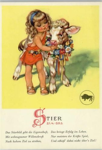 1946 Stier Kind