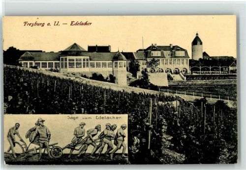 Freyburg Edelacker