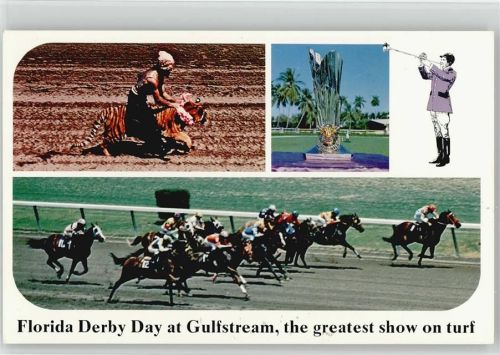 1970 - 1980 Florida Derby USA