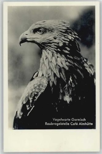 1930 - 1940 Adler Foto AK Almhütte, Maximilianshöhe, Vogelwarte Garmisch