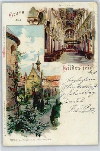 Hildesheim Dom, 1000-jähriger Rosenstock, Annenkapelle