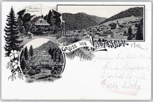 Lautenthal Hotel Prinzess Caroline, Gesamtansicht
