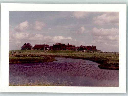 Hooge