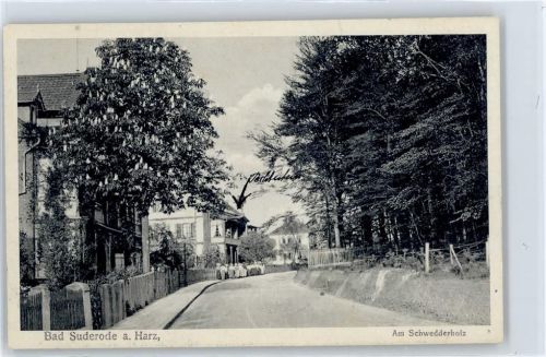 Bad Suderode am Schwedderholz