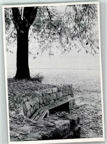 Stettin Zur Herbstzeit im Quistorpark Foto Block