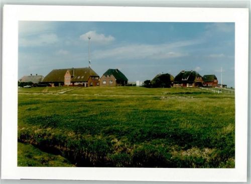 Hooge