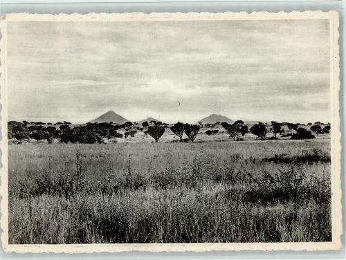 Nationalpark - Ndeko - Plain with Euphorbias