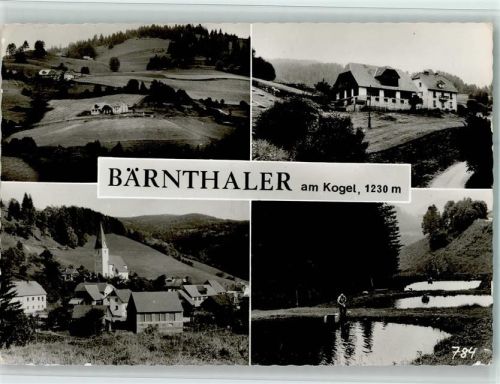 Mühlen Bärnthaler am Kogel Ortsansichten Forellenteiche 4-Bildaufnahme