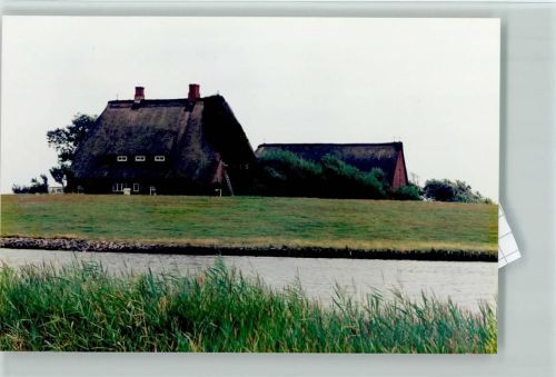 Hooge