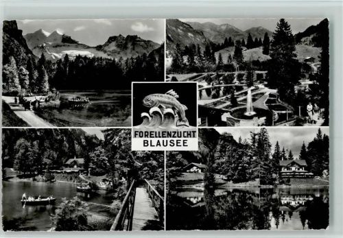 Blausee-Mitholz Forellenzucht Blausee 1967 AK