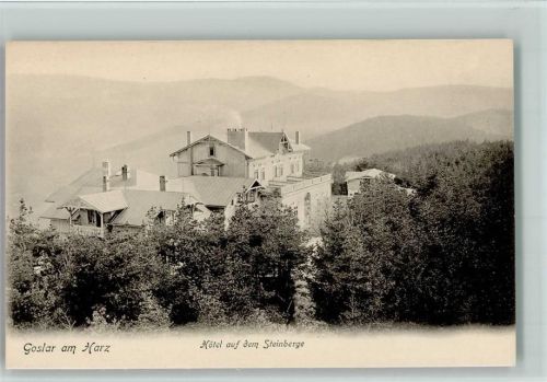 Goslar Hotel auf dem Steinberge