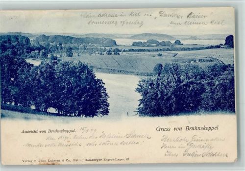 Bruhnskoppel 1899 Aussicht von Bruhnskoppel