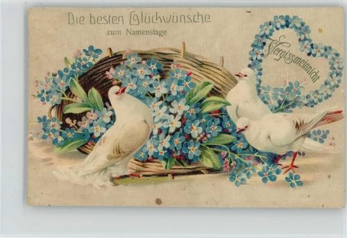 1913 Litho Namenstag Vergissmeinnicht Erika AK