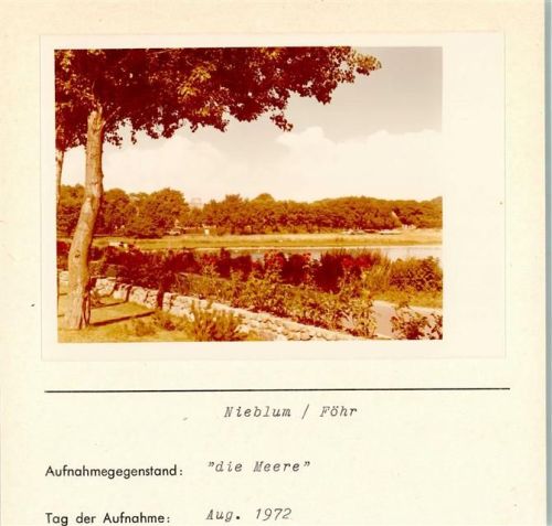 25938 W2270 Nieblum FOTO KEINE AK Die Meere Haus an der Meere Foto montiert auf Karton