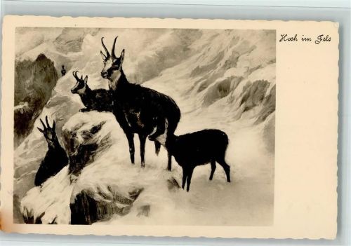 Hoch im Fels Ziegen Winteraufnahme