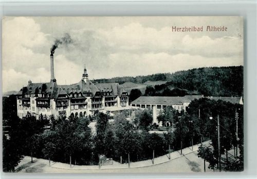 Bad Altheide 1909 Herzheilbad - AK