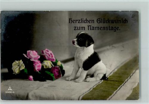 Hundewelpe Blumenstrauß Glückwunsch
