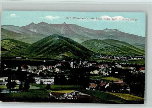 Bad Warmbrunn i. Rsgb. 1916 Panoarama AK