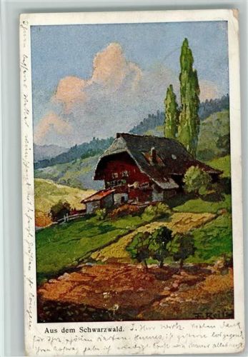 Schwarzwaldhaus 1903 AK