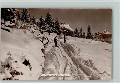 1929 Paysage d`Hiver - Verlag Perrochet & David 505- sehr gute Erhaltung AK