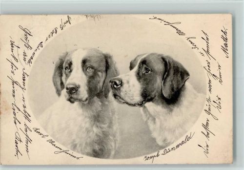 1902