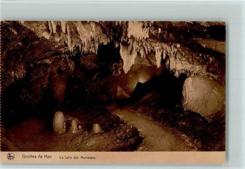 Han-sur-Lesse Grottes de Han La Salle des Mamelons