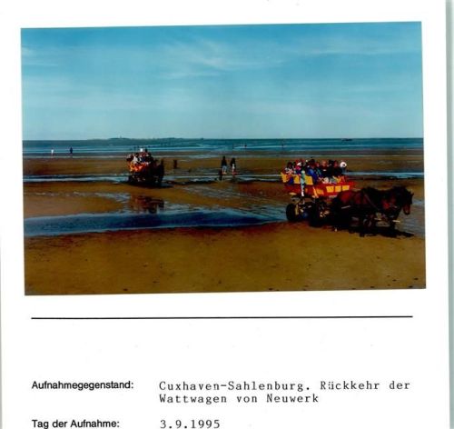 Sahlenburg Rückkehr der Wattwagen von Neuwerk Foto montiert auf Karton