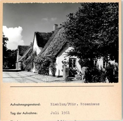Nieblum Rosenhaus Foto montiert auf Karton