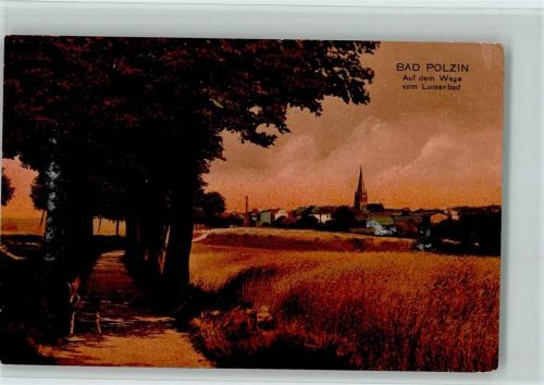 Bad Polzin 1917 Auf dem Wege vom Luisenbad AK
